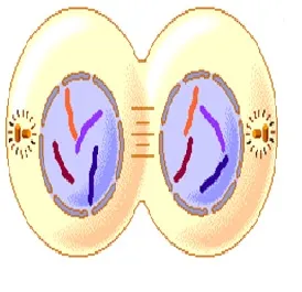 voh.com.vn-nhiem-sac-the-7