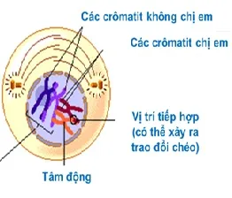 voh.com.vn-nhiem-sac-the-8