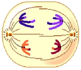 voh.com.vn-nhiem-sac-the-10