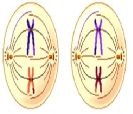 voh.com.vn-nhiem-sac-the-11