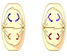 voh.com.vn-nhiem-sac-the-12