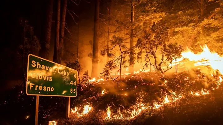Mỹ: Tiệc bắn pháo hoa gây cháy rừng ở California