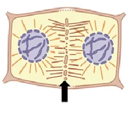 voh.com.vn-nhiem-sac-the-16