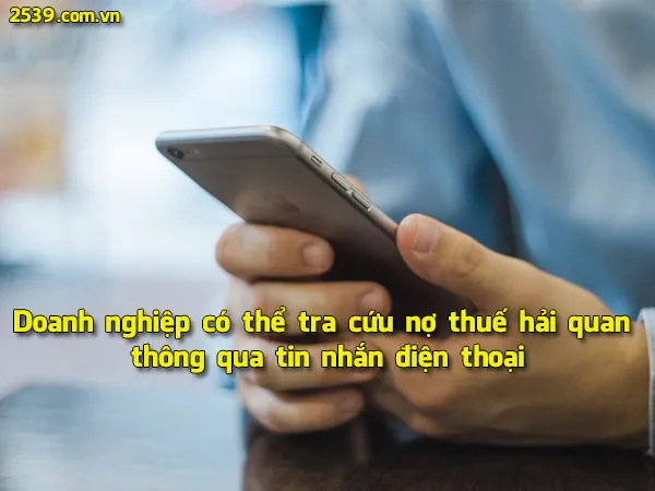 voh.com.vn-tra-cuu-no-thue-to-khai-hai-quan-2
