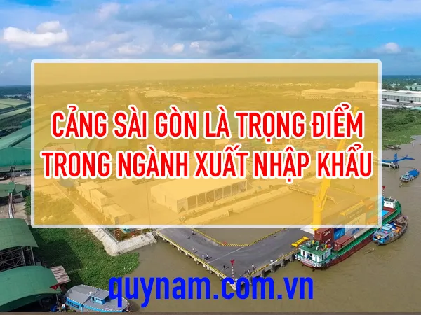 voh,com.vn-top-10-cang-bien-lon-nhat-viet-nam-1