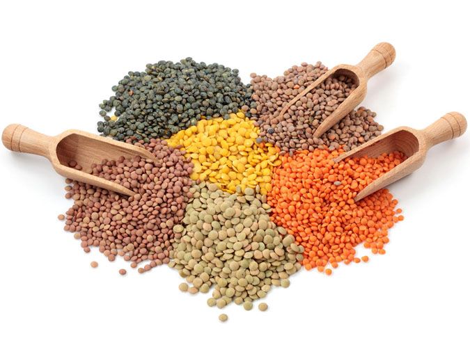 Những Công Dụng Tuyệt Vời Của Đậu Lăng Những Công Dụng Tuyệt Vời Của Đậu Lăng