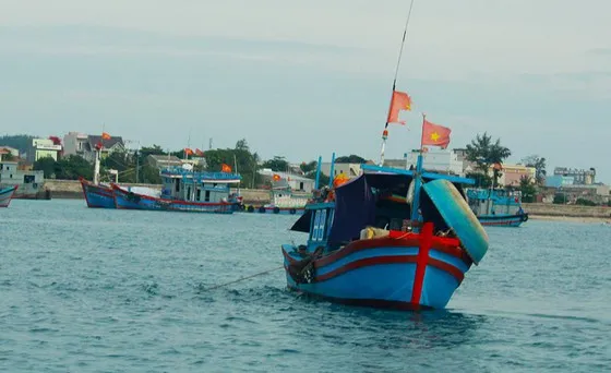 Tàu thuyền đảo Lý Sơn tìm nơi neo đậu an toàn, từ 13 giờ ngày 17-9