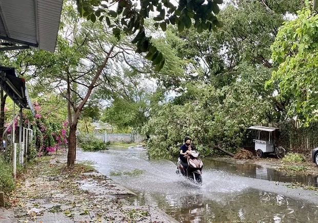 Thừa Thiên - Huế: một người chết, nhiều người bị thương và hàng ngàn ngôi nhà bị tốc mái.