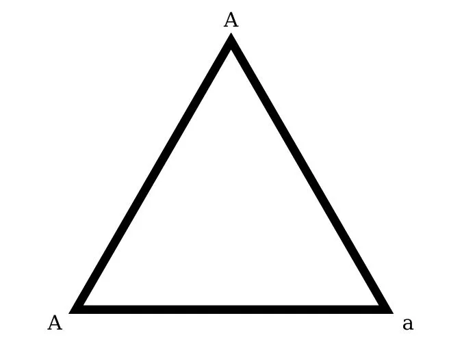 voh.com.vn-bien-di-di-truyen-10