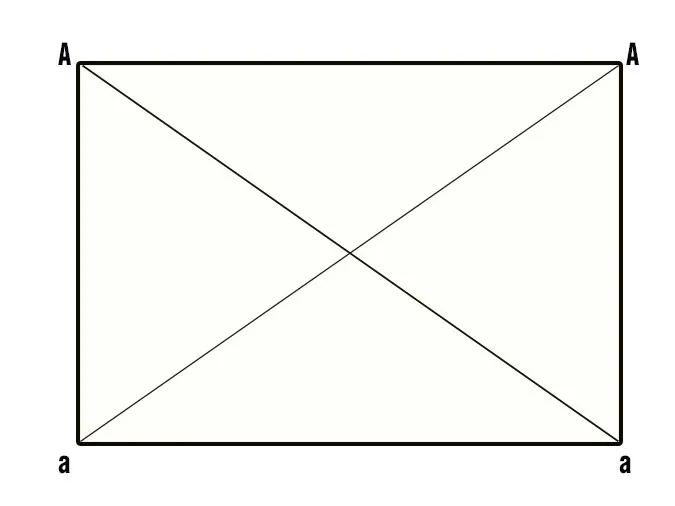 voh.com.vn-bien-di-di-truyen-15