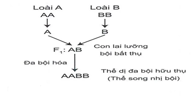 voh.com.vn-bien-di-di-truyen-8