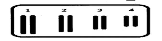 voh.com.vn-bien-di-di-truyen-4