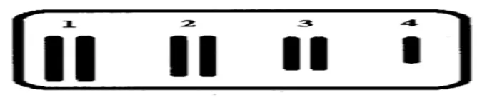 voh.com.vn-bien-di-di-truyen-5