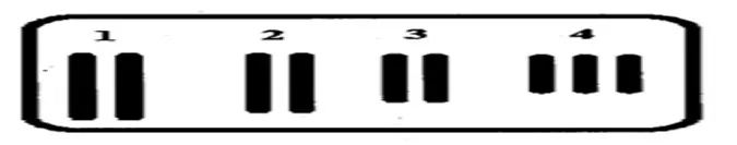 voh.com.vn-bien-di-di-truyen-6