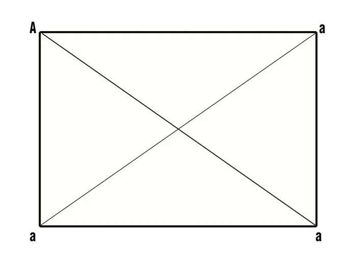 voh.com.vn-bien-di-di-truyen-16