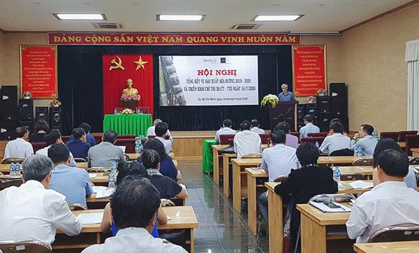 8 tháng năm 2020: Lượng đường mía nhập khẩu vào Việt Nam gia tăng đột biến