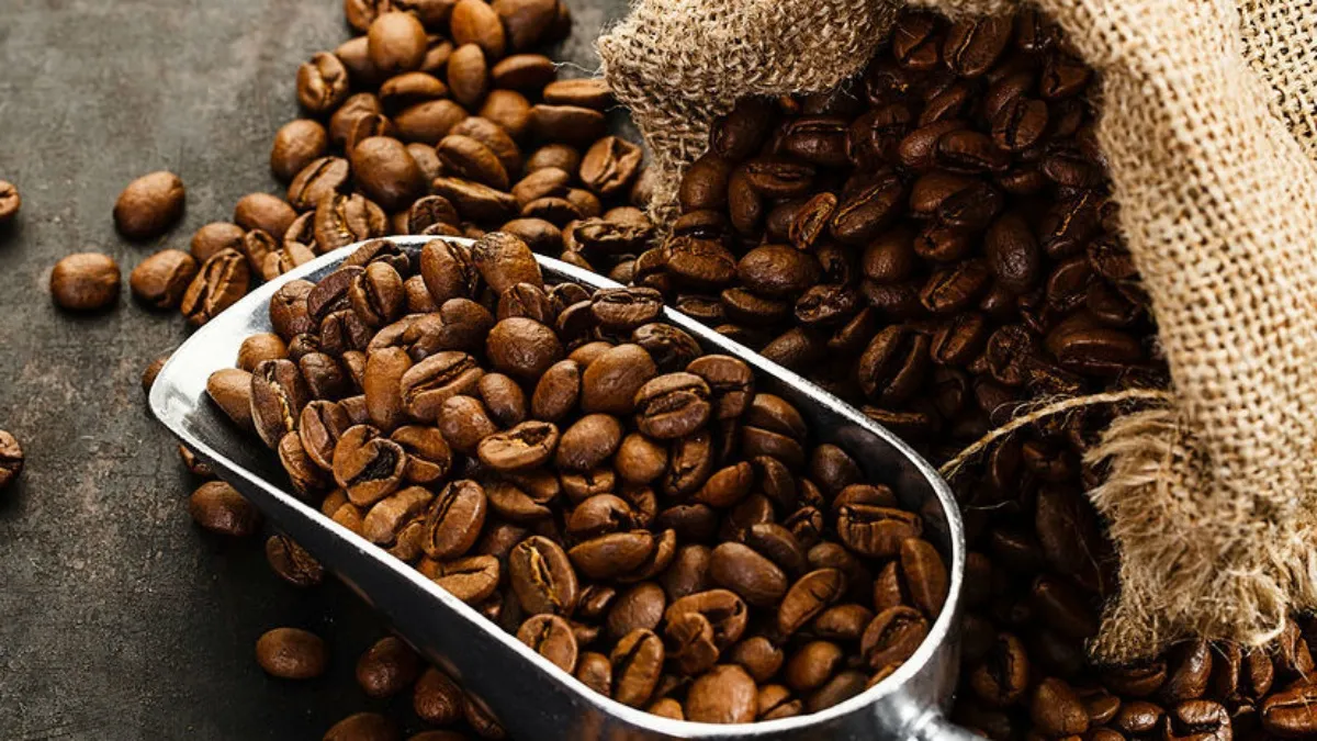 Giá cà phê hôm nay 3/11/2020: Giảm 100 đồng/kg trên toàn quốc