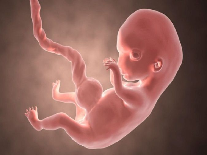 moi-dieu-me-bau-can-biet-ve-tam-ca-nguyet-thu-nha-voh-1