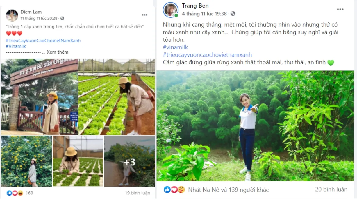 Triệu cây vươn cao cho Việt Nam xanh