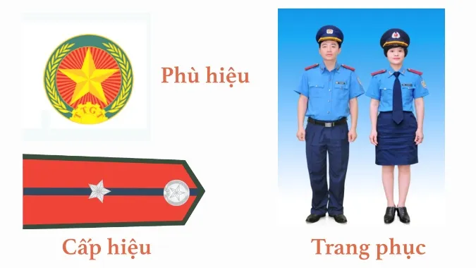 Cách phân biệt thanh tra giao thông và cảnh sát giao thông ảnh 1