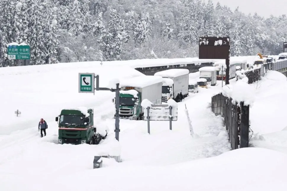 Giao thông Nhật Bản tê liệt vì tuyết rơi dày đặc