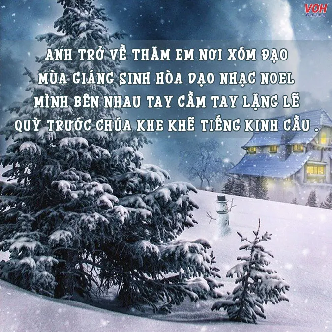 tho-tinh-giang-sinh-voh