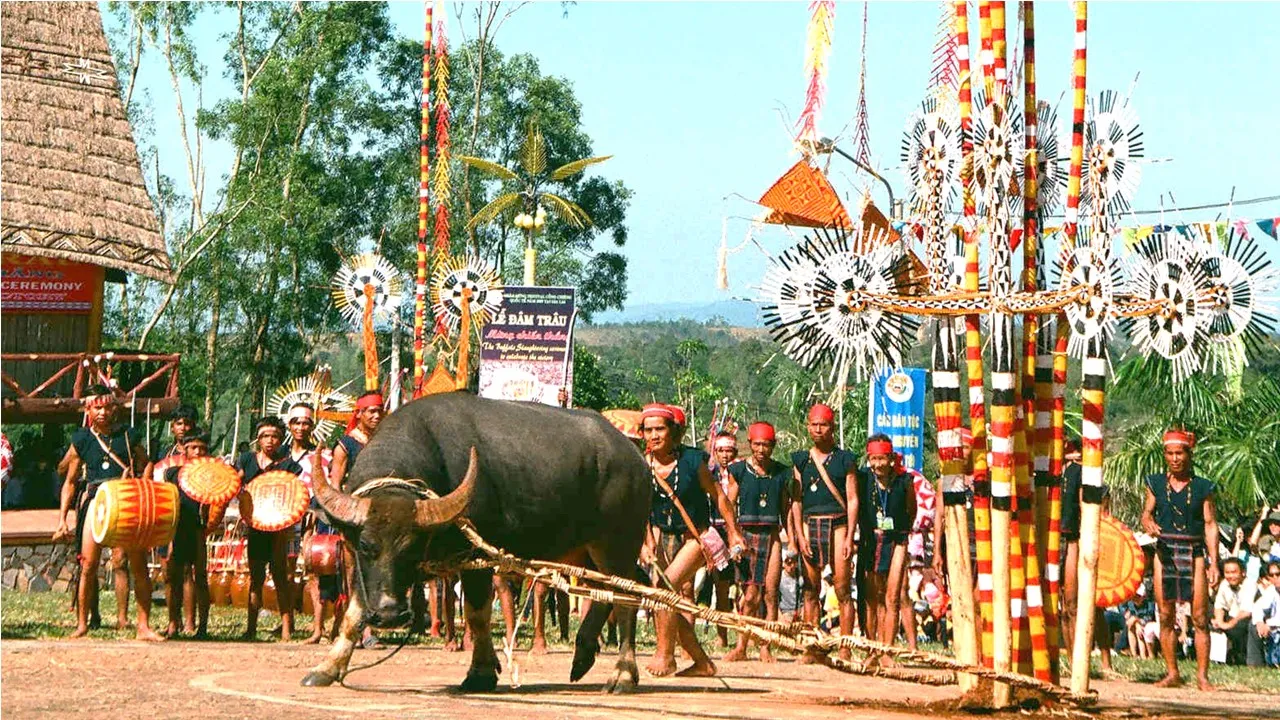 Lễ hội đâm trâu