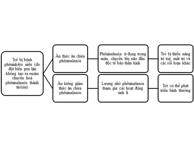 kien-thuc-va-ung-dung-di-truyen-y-hoc-voh-1