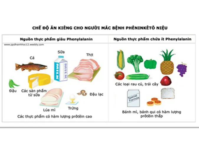 kien-thuc-va-ung-dung-di-truyen-y-hoc-voh-2