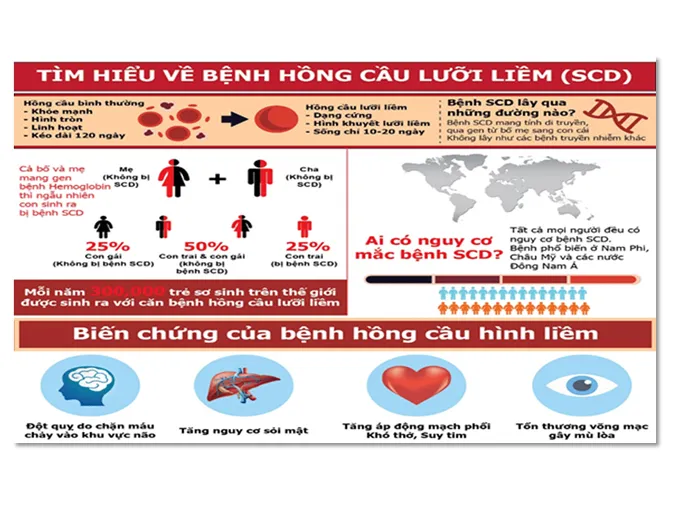 kien-thuc-va-ung-dung-di-truyen-y-hoc-voh-0