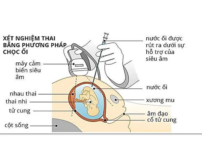 tim-hieu-nhung-phuong-phap-bao-ve-von-gen-cua-loai-nguoi-voh-1
