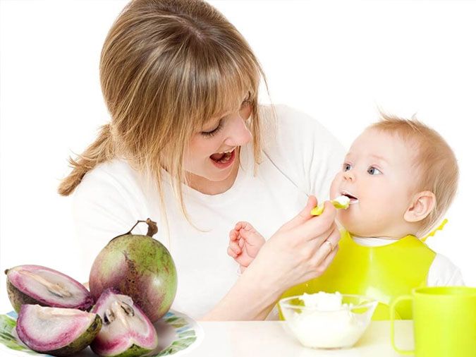 Lưu ý khi cho trẻ ăn vú sữa