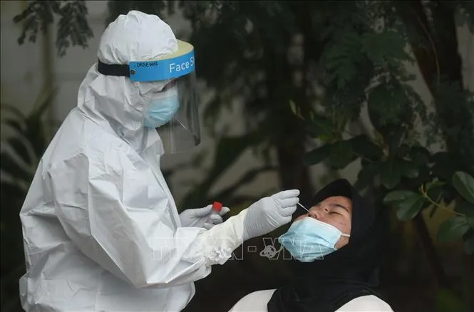 Nhân viên y tế lấy mẫu xét nghiệm COVID-19 tại Jakarta, Indonesia, 