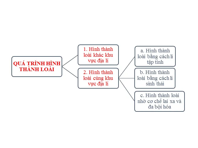 khai-niem-loai-sinh-hoc-va-qua-trinh-hinh-thanh-loai-voh-0
