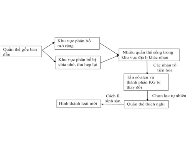 khai-niem-loai-sinh-hoc-va-qua-trinh-hinh-thanh-loai-voh-3