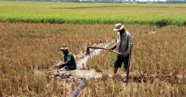 Dự báo thời tiết cả nước 3 ngày tới (đêm 11 - 14/3): Đông Nam bộ có nắng nóng 1