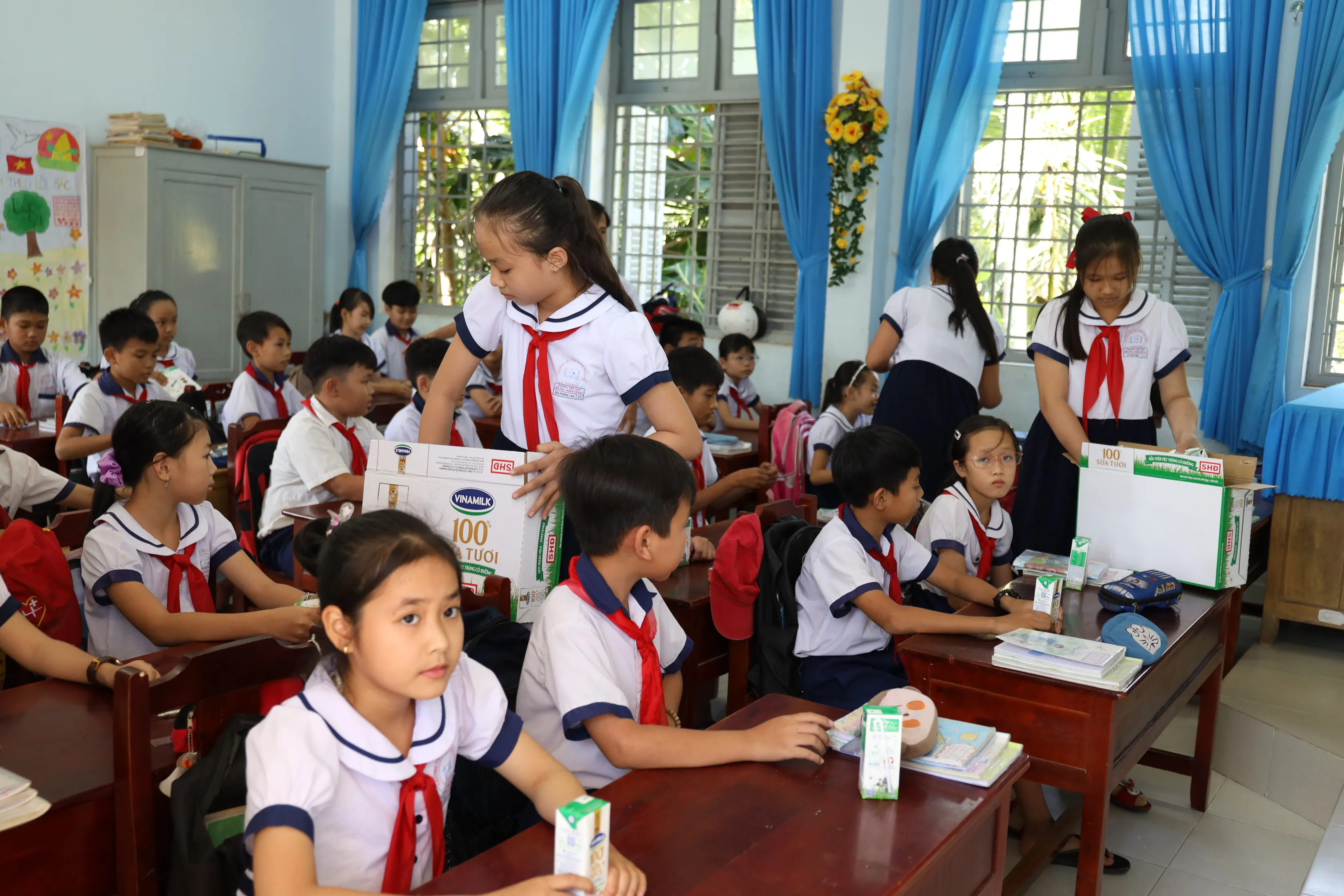 Sữa học đường, bến tre, voh.com.vn