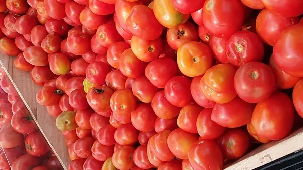 Giá cả thị trường hôm nay 16/3/2021: Cà chua từ 8.000 đồng/ kg 1