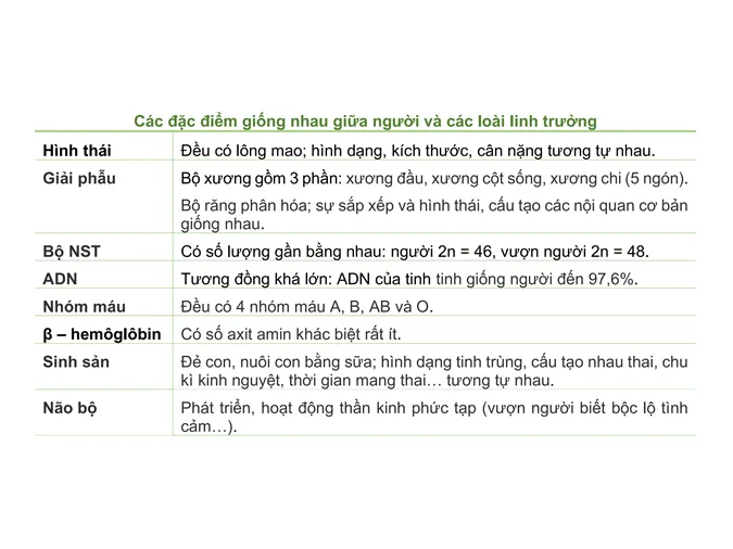 tim-hieu-qua-trinh-phat-sinh-loai-nguoi-voh-0