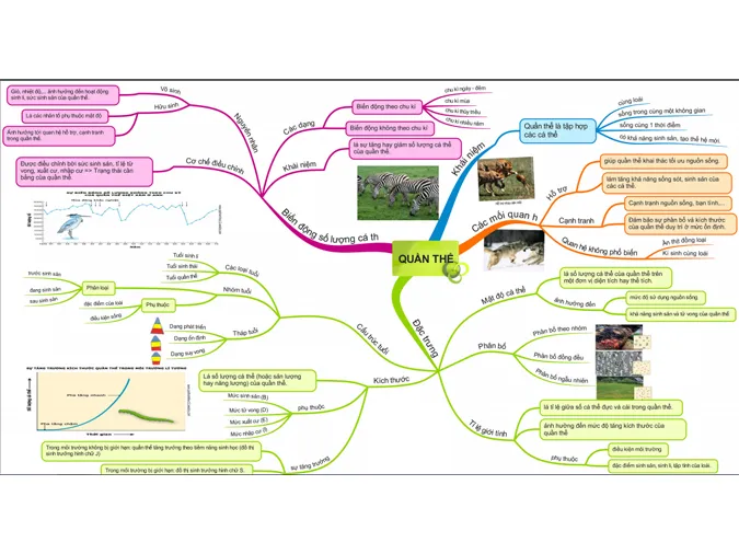 kien-thuc-bai-tap-van-dung-ca-the-va-quan-the-sinh-vat-voh-9