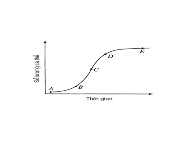 kien-thuc-bai-tap-van-dung-ca-the-va-quan-the-sinh-vat-voh-10