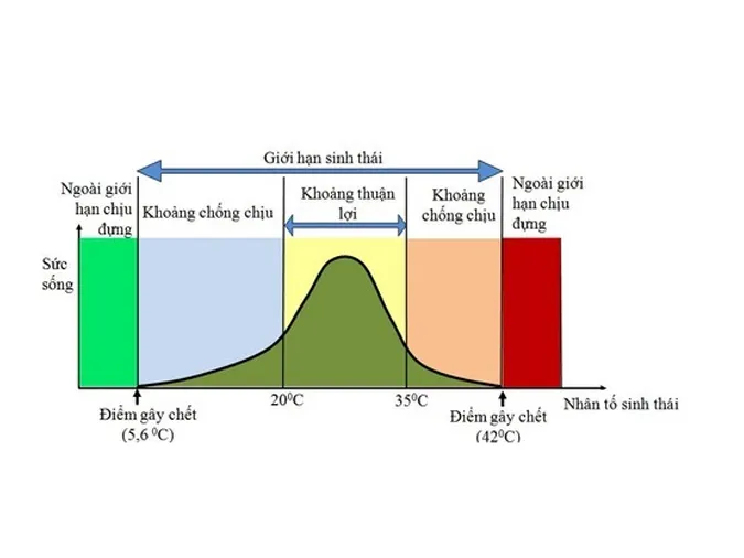 kien-thuc-bai-tap-van-dung-ca-the-va-quan-the-sinh-vat-voh-1