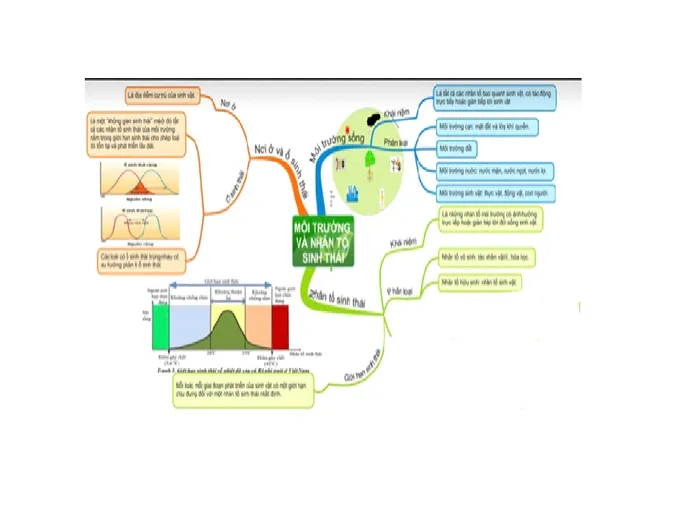 kien-thuc-bai-tap-van-dung-ca-the-va-quan-the-sinh-vat-voh-2