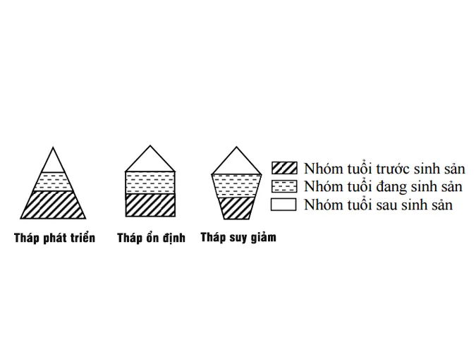 kien-thuc-bai-tap-van-dung-ca-the-va-quan-the-sinh-vat-voh-4