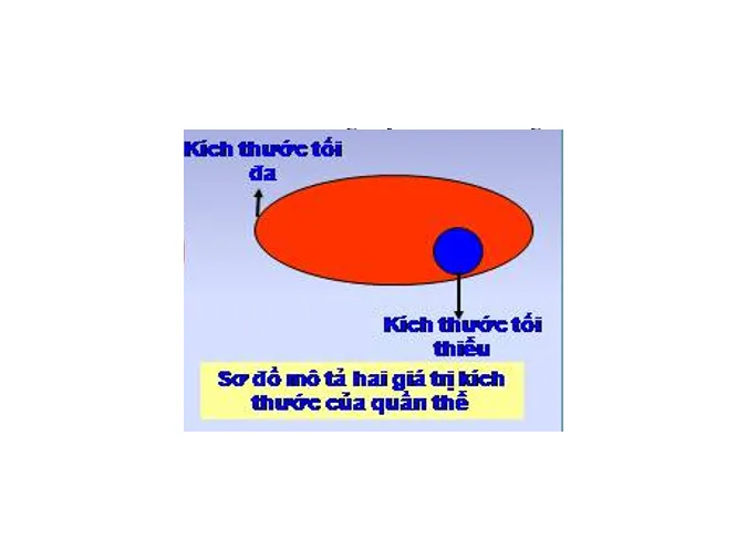 kien-thuc-bai-tap-van-dung-ca-the-va-quan-the-sinh-vat-voh-5