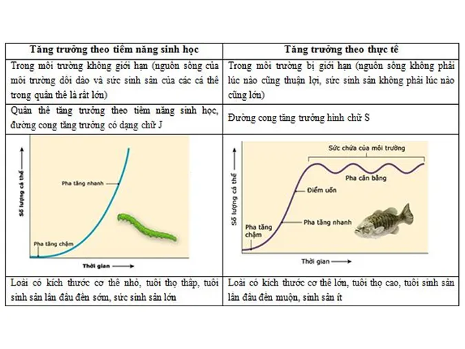 kien-thuc-bai-tap-van-dung-ca-the-va-quan-the-sinh-vat-voh-7
