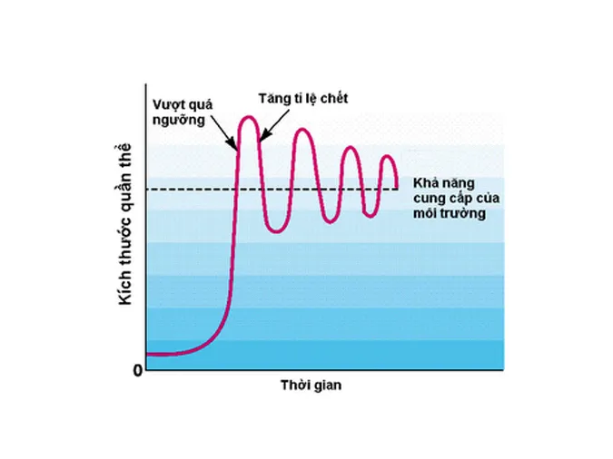 kien-thuc-bai-tap-van-dung-ca-the-va-quan-the-sinh-vat-voh-8