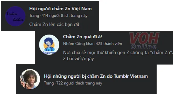 cham-zn-la-gi-voh-1