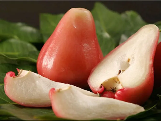 Bạn có biết ăn quả roi (quả mận miền Nam) rất lợi ích cho sức khỏe? 2