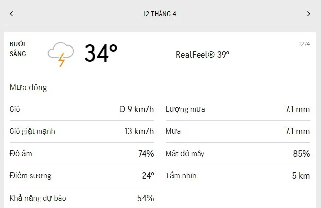 Dự báo thời tiết TPHCM hôm nay 11/4 và ngày mai 12/4/2021: sáng nắng dịu, buổi chiều có mưa dông 4